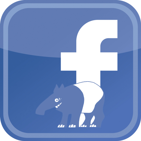 facebook_logo.jpg